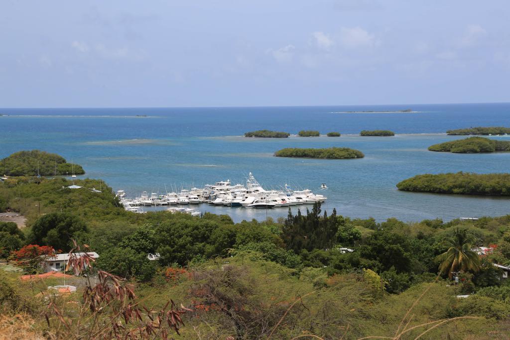 Parador Turtle Bay Inn Ла-Паргера Екстер'єр фото