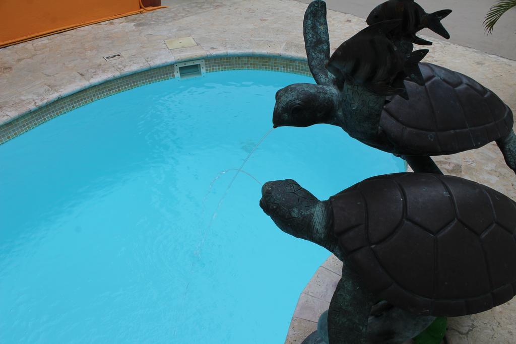 Parador Turtle Bay Inn Ла-Паргера Екстер'єр фото